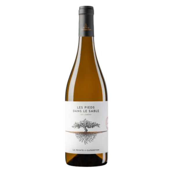 Pieds dans le sable blanc